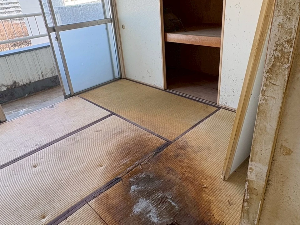 畳の上での孤独死|腐敗臭が強いケース 施工前