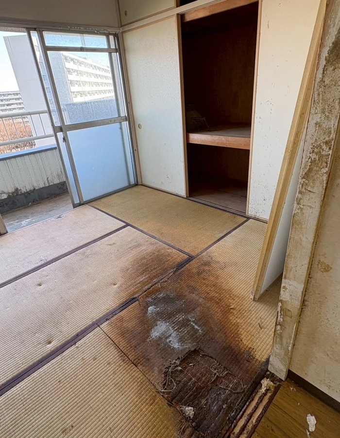 特殊清掃の作業実績:和室の汚染確認・作業前